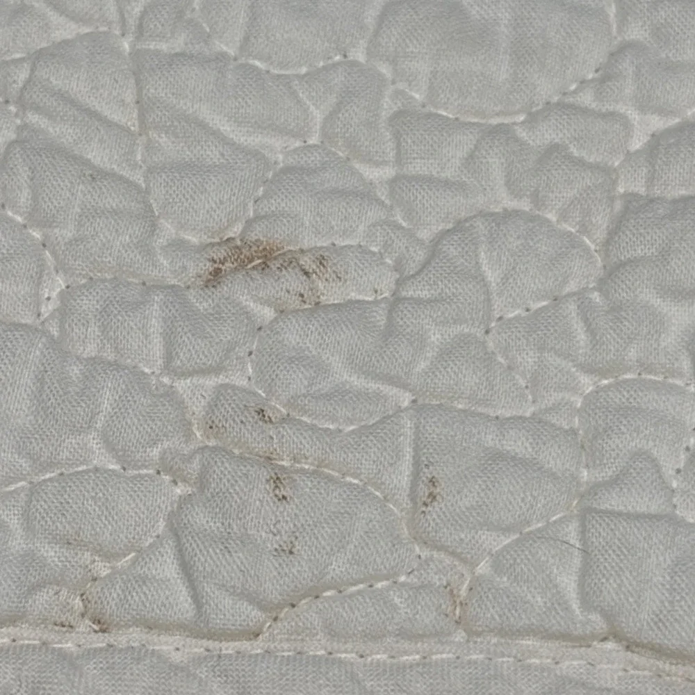 2 Vtg Shabby Chic Embroidered Pillow Sham Cream Quilted Floral Vine Cottagecore